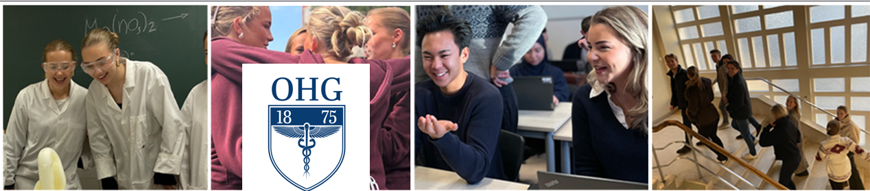 en collage av mennesker