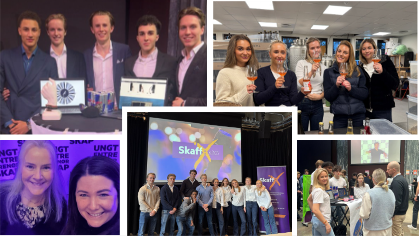 Entreprenørskap og bedriftsutvikling