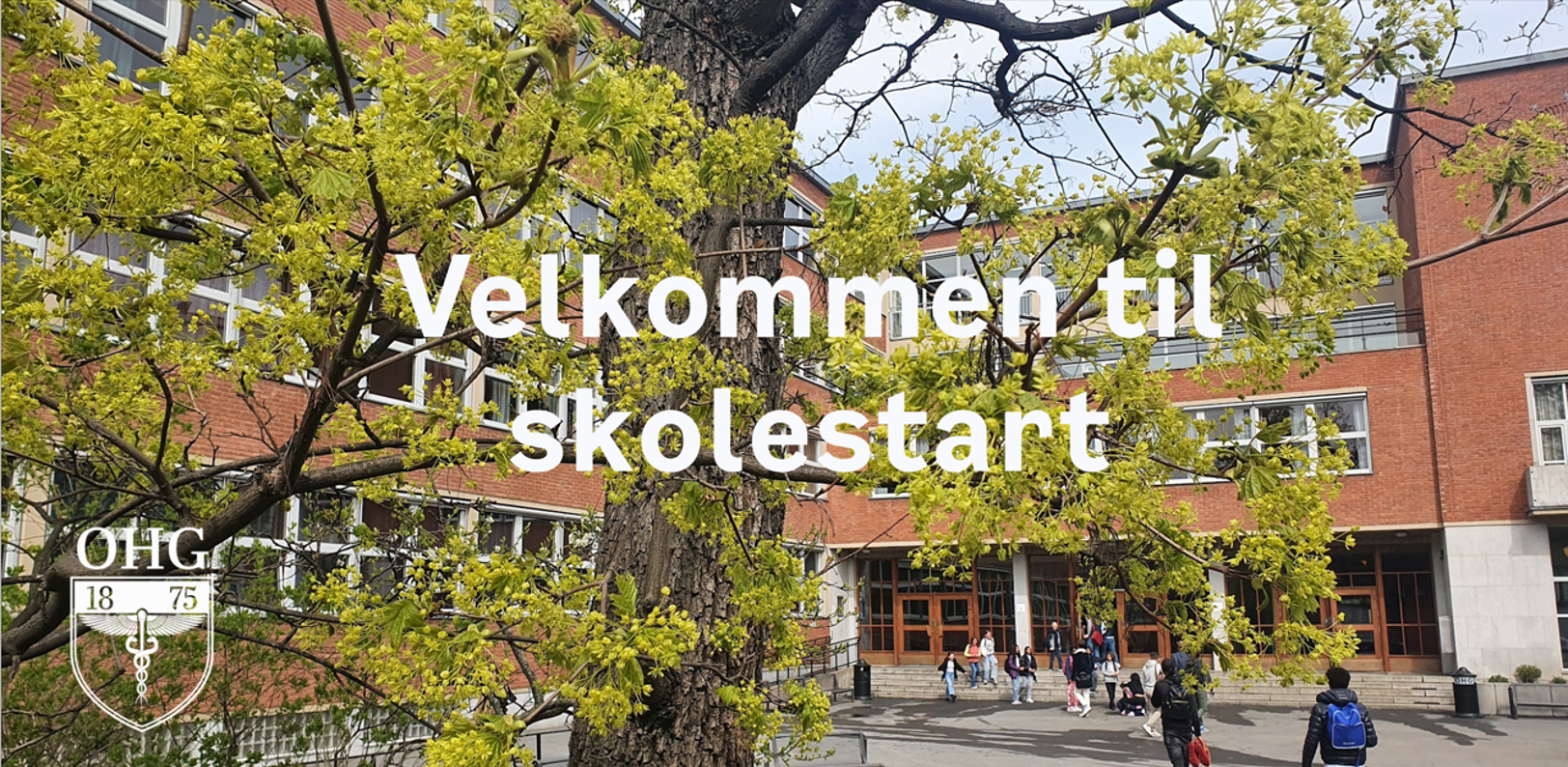 en gruppe mennesker som går i en gate ved siden av en bygning
